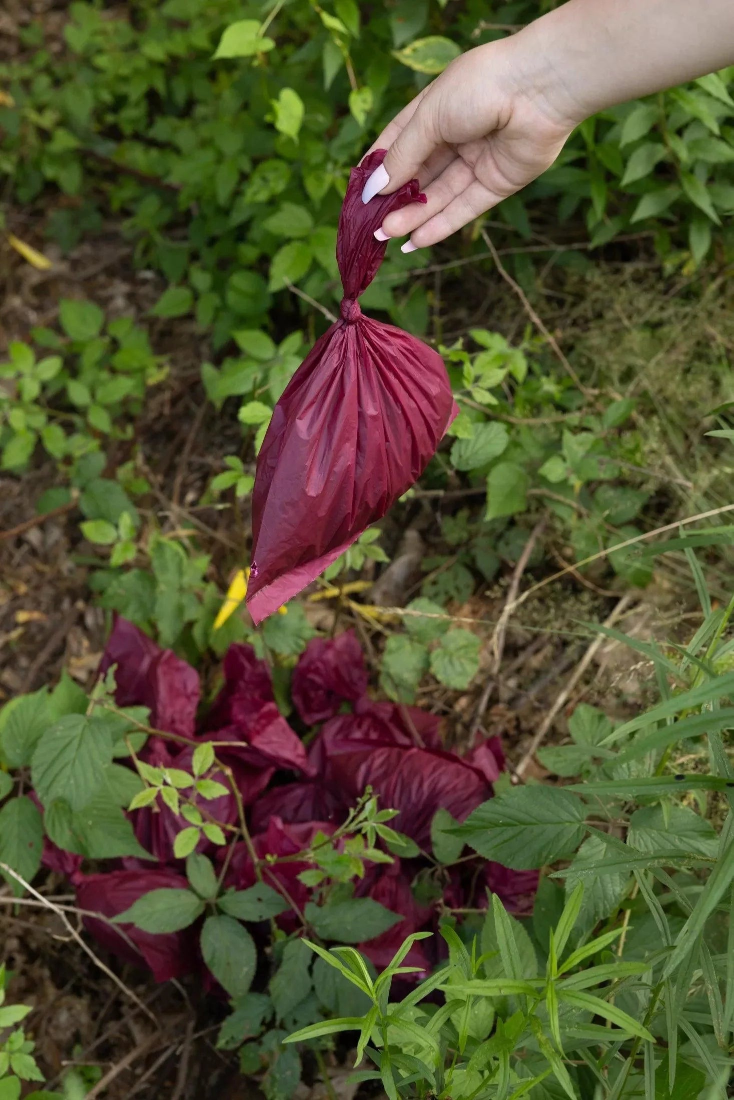 Plant Based Compostable Waste Bags