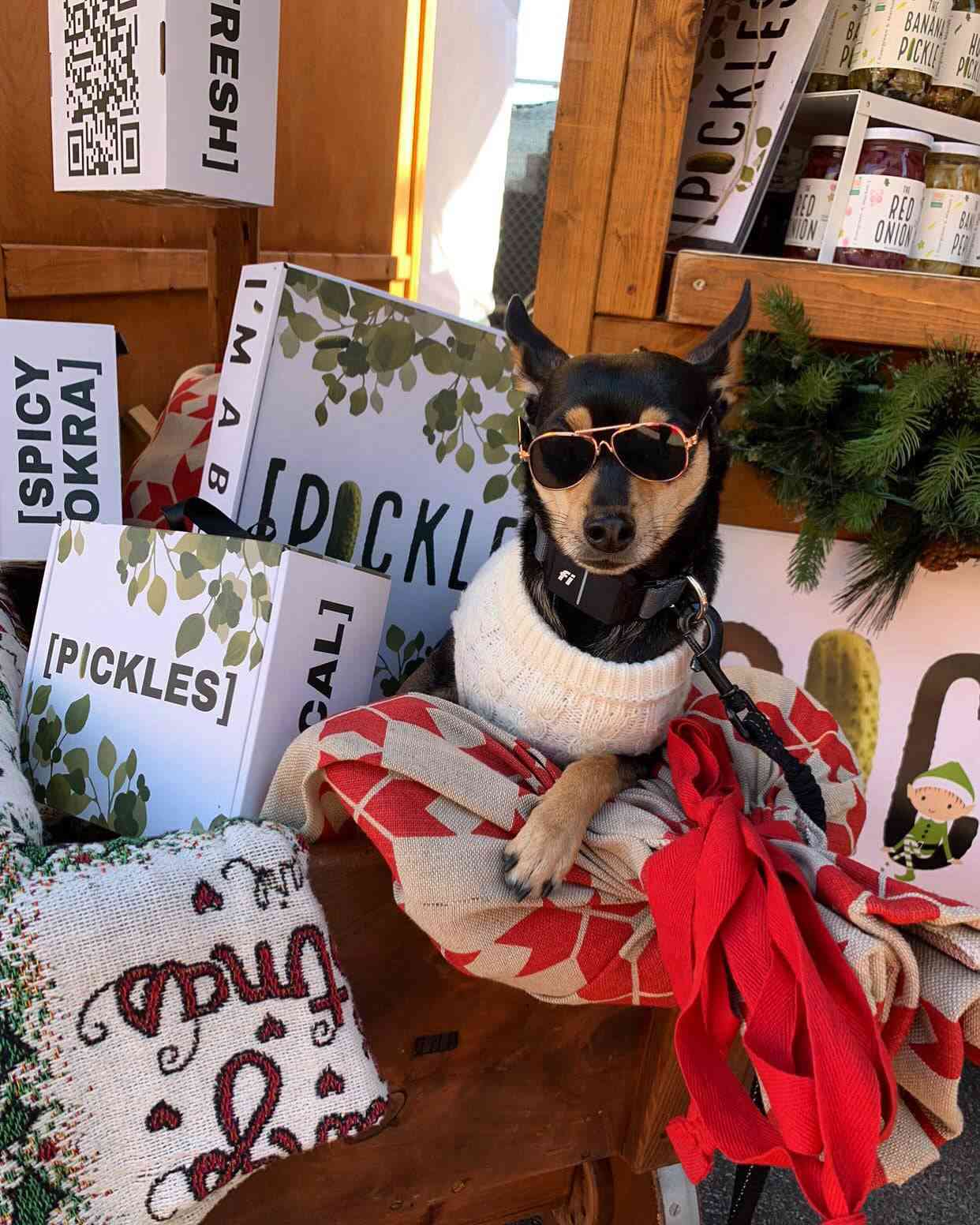 3-Jar Gift Box — Pickle Party Pack