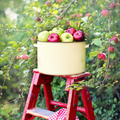 Farmstand Apple - Bath & Body Works type - Premium Fragrance Oil