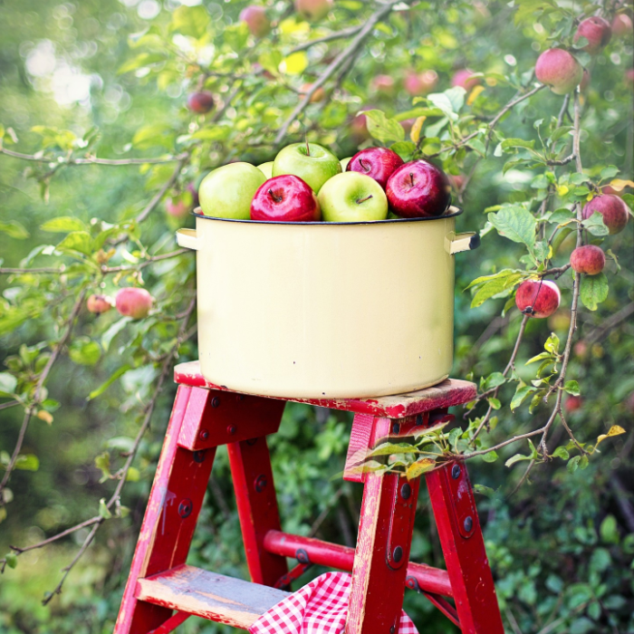 Farmstand Apple - Bath & Body Works type - Premium Fragrance Oil