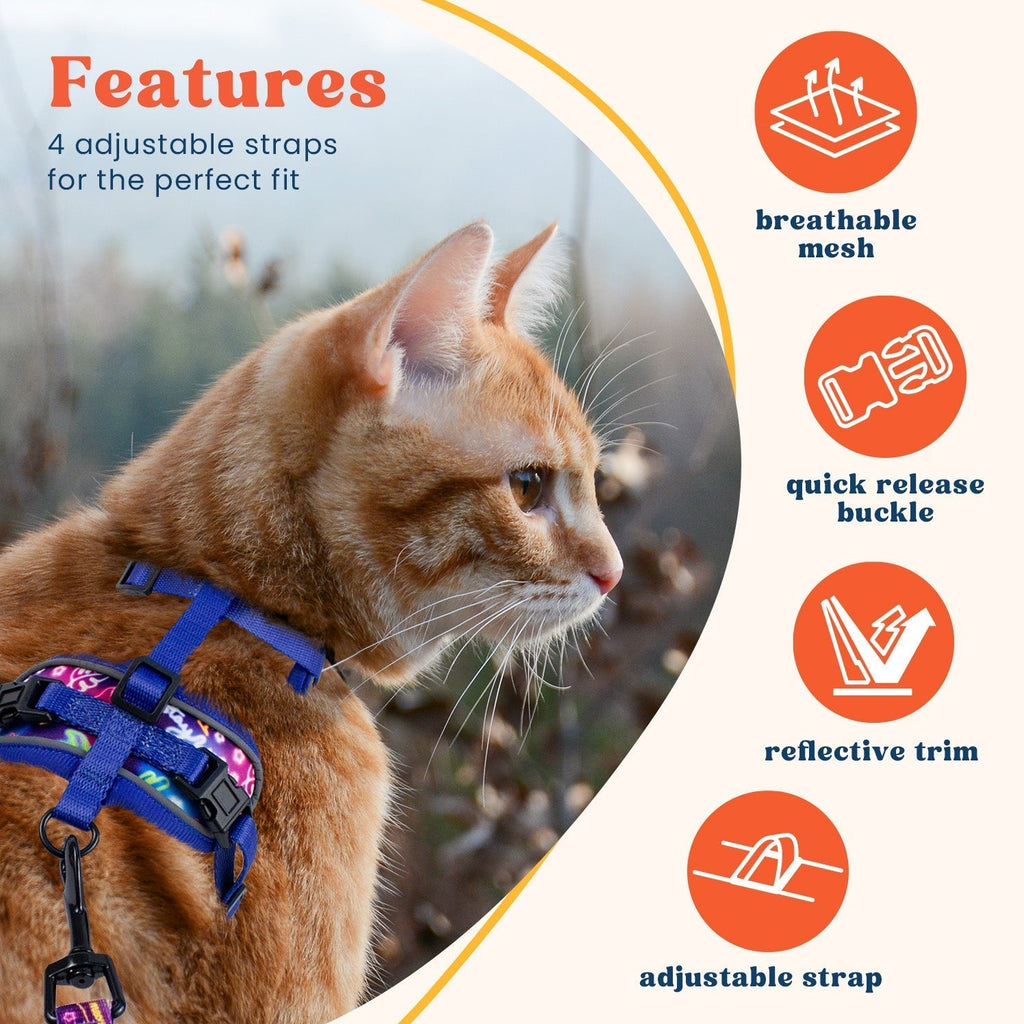 Cat Harness and Leash Set
