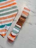 Fall Stripes - Pastel Collar