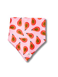 Papaya Punch Dog Bandana