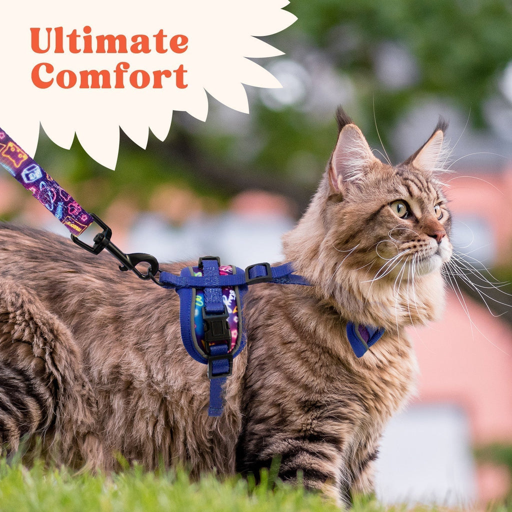 Cat Harness and Leash Set