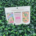 Adventure Awaits Magnetic Bookmark Set
