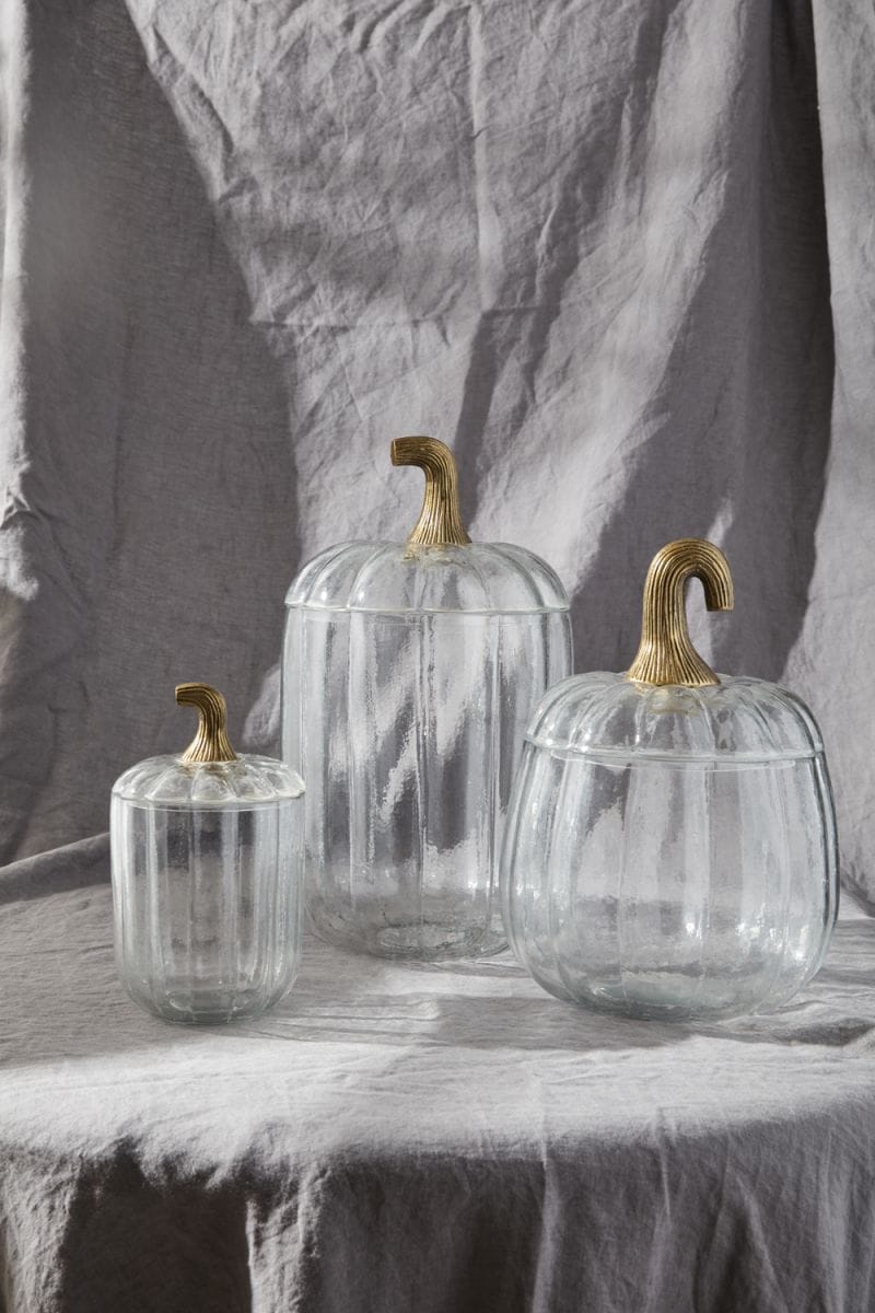 TRANSLUCENT PUMPKIN TERRARIUM